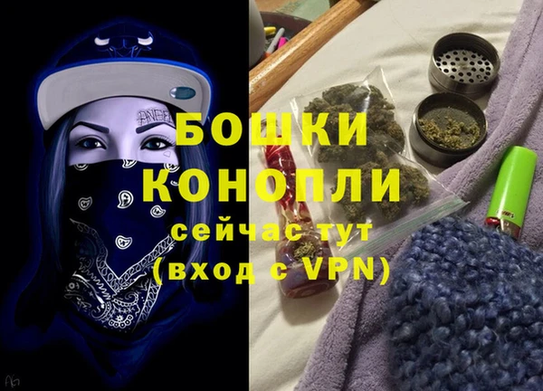 шишки Пестово