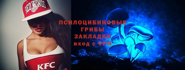 шишки Пестово