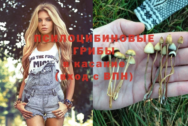 MESCALINE Карталы