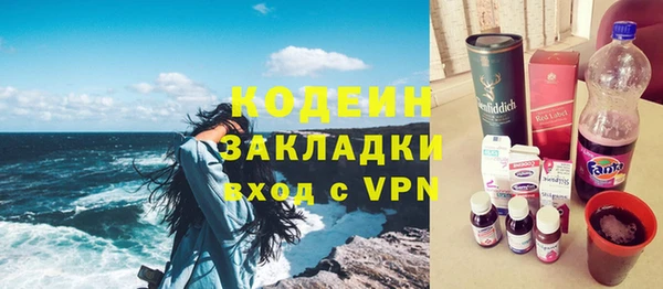 шишки Пестово
