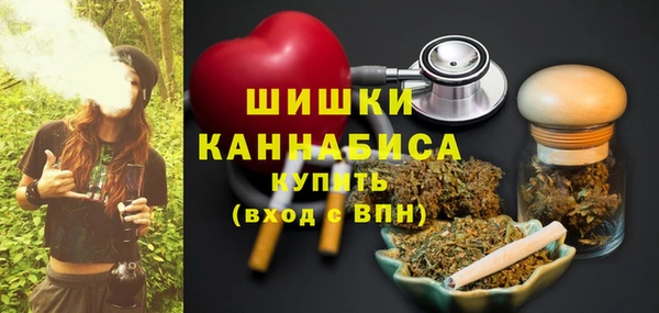 шишки Пестово
