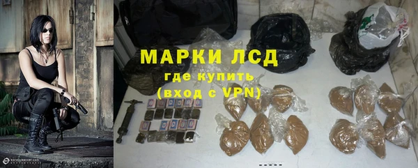 шишки Пестово