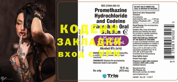 шишки Пестово