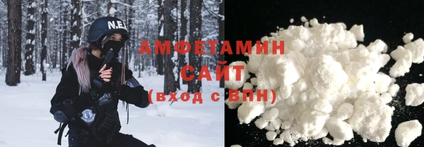 шишки Пестово