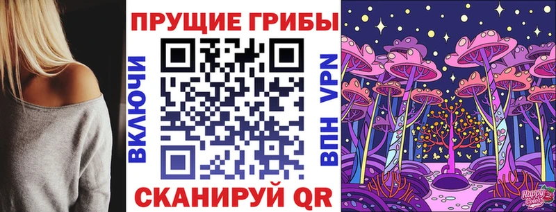 Галлюциногенные грибы мицелий Переславль-Залесский