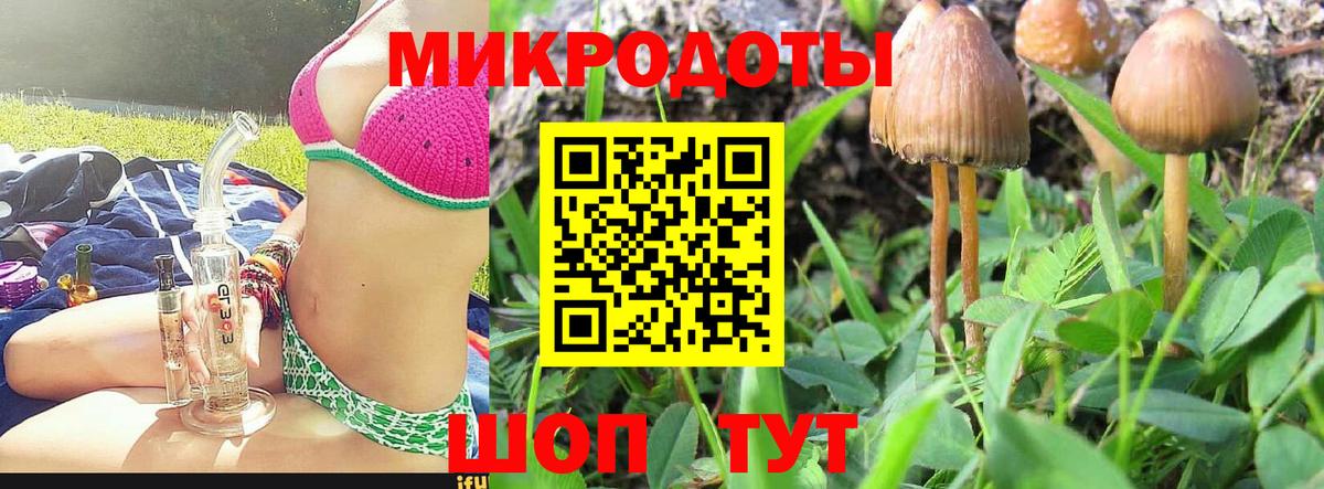 Псилоцибиновые грибы Psilocybe Переславль-Залесский